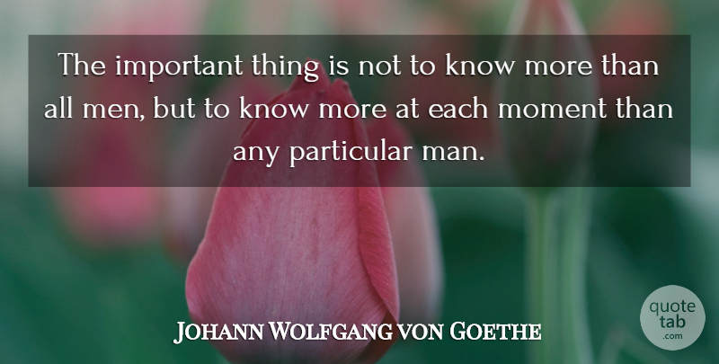 Johann Wolfgang von Goethe Quote About Men, Important, Particular: The Important Thing Is Not...