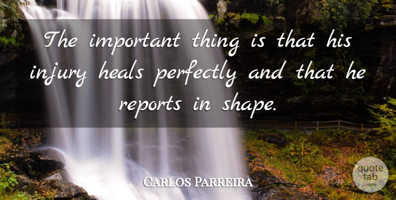 Carlos Parreira Quote About Heals, Injury, Perfectly, Reports: The Important Thing Is That...