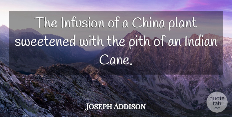 Joseph Addison Quote About Tea, Plant, China: The Infusion Of A China...