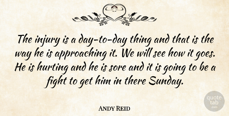 Andy Reid Quote About Fight, Hurting, Injury, Sore: The Injury Is A Day...