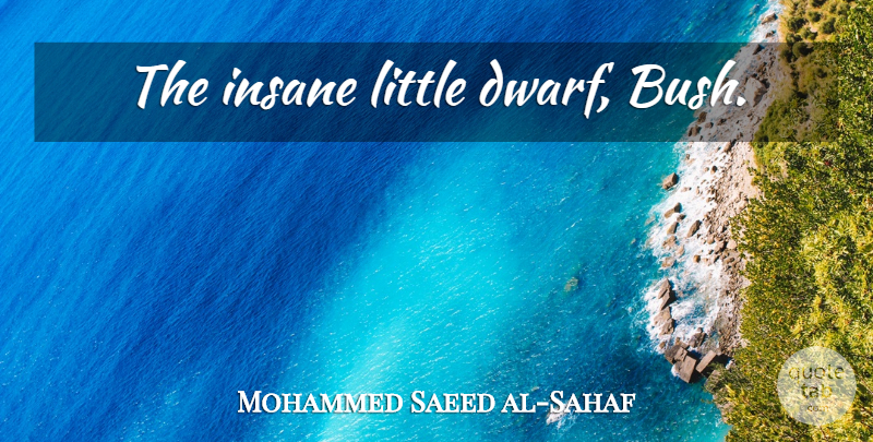 Mohammed Saeed al-Sahaf Quote About Military, Dwarves, Insane: The Insane Little Dwarf Bush...