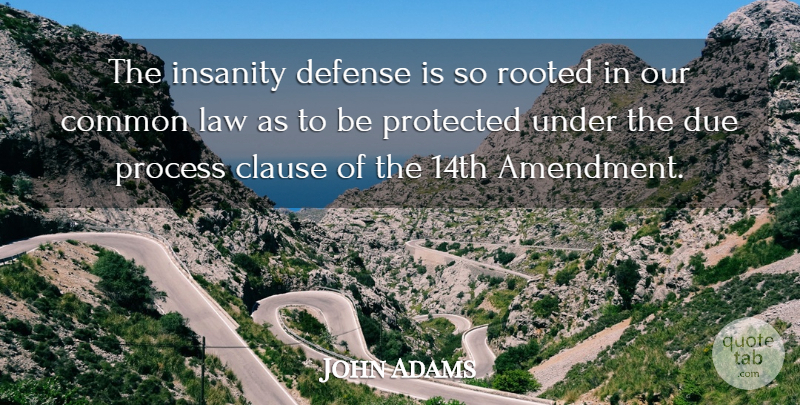 John Adams Quote About Clause, Common, Defense, Due, Insanity: The Insanity Defense Is So...