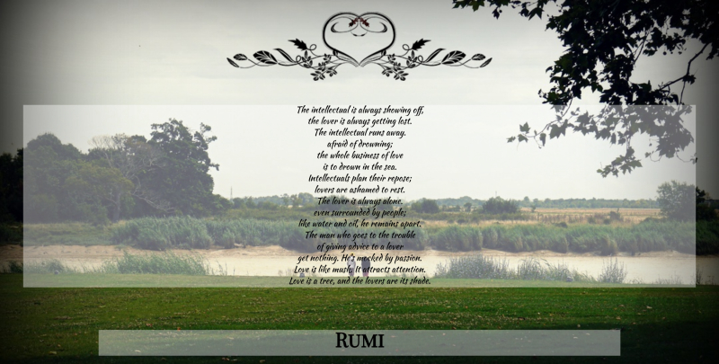 Rumi Quote About Love, Running, Passion: The Intellectual Is Always Showing...