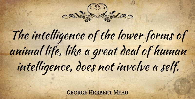 George Herbert Mead Quote About Animal, Deal, Forms, Great, Human: The Intelligence Of The Lower...