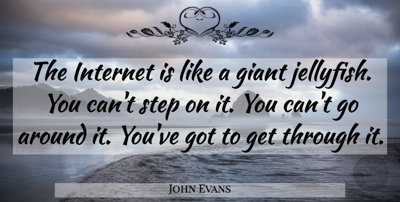 John Evans Quote About Giant, Internet, Step, Technology: The Internet Is Like A...