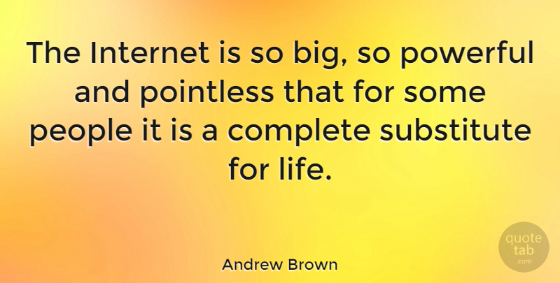 Andrew Brown Quote About Complete, People, Pointless, Powerful, Substitute: The Internet Is So Big...