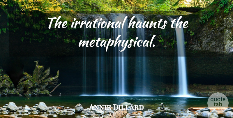 Annie Dillard Quote About Metaphysical, Irrational: The Irrational Haunts The Metaphysical...