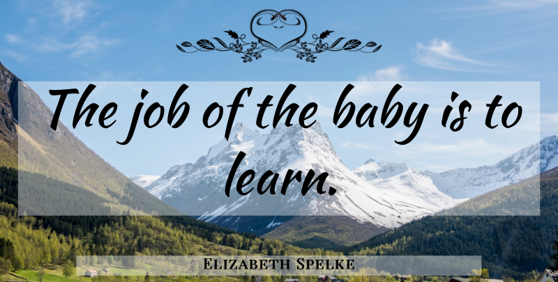 Elizabeth Spelke Quote About Baby, Jobs, Women: The Job Of The Baby...