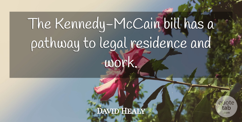 David Healy Quote About Bill, Legal, Pathway, Work: The Kennedy Mccain Bill Has...