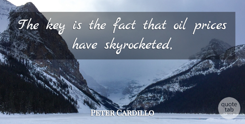Peter Cardillo Quote About Fact, Key, Oil, Prices: The Key Is The Fact...