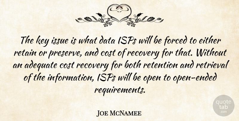 Joe McNamee Quote About Adequate, Both, Cost, Data, Either: The Key Issue Is What...