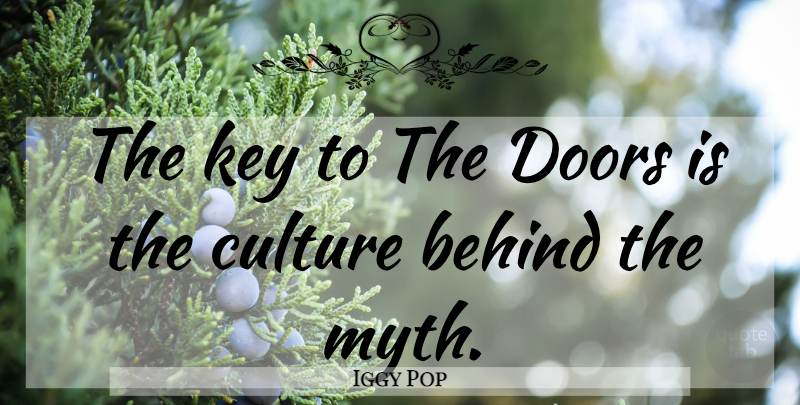 Iggy Pop Quote About Doors, Keys, Culture: The Key To The Doors...