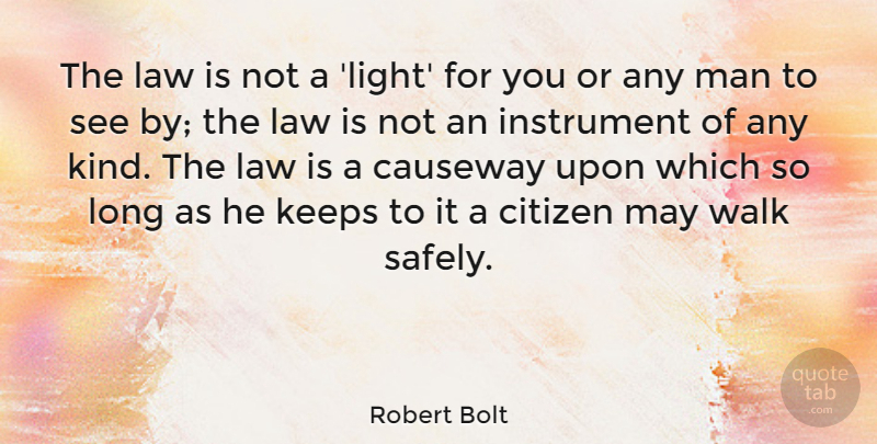 Robert Bolt Quote About Men, Light, Law: The Law Is Not A...