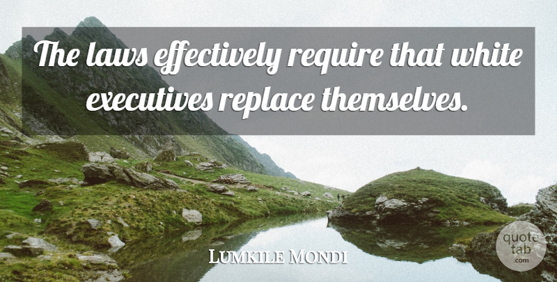 Lumkile Mondi Quote About Executives, Laws, Replace, Require, White: The Laws Effectively Require That...