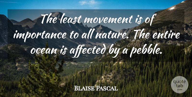 Blaise Pascal Quote About Nature, Motivation, Ocean: The Least Movement Is Of...