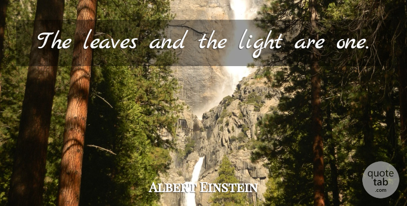 Albert Einstein Quote About Light, Interesting: The Leaves And The Light...