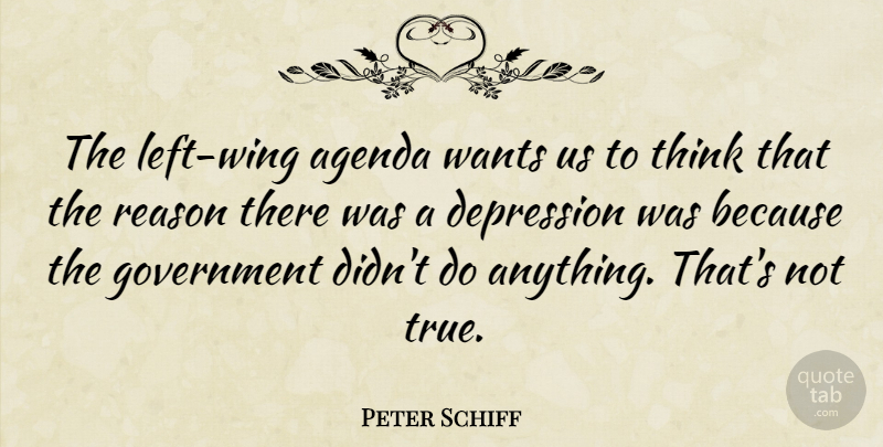 Peter Schiff Quote About Agenda, Government, Reason, Wants: The Left Wing Agenda Wants...