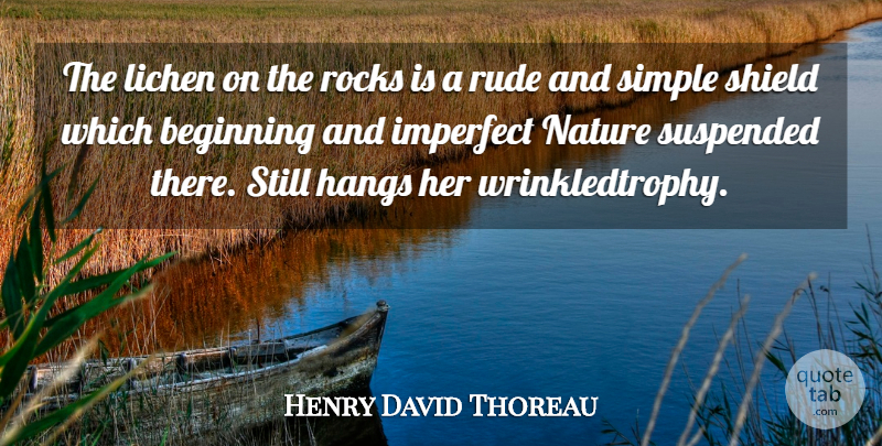 Henry David Thoreau Quote About Nature, Simple, Rocks: The Lichen On The Rocks...