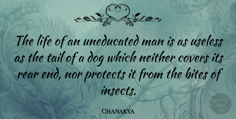 Chanakya Quote About Inspirational, Dog, Men: The Life Of An Uneducated...