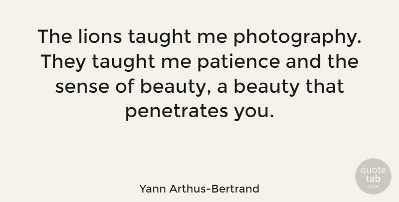 Yann Arthus-Bertrand Quote About Photography, Lions, Taught: The Lions Taught Me Photography...