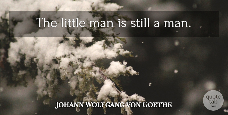 Johann Wolfgang von Goethe Quote About Men, Littles, Stills: The Little Man Is Still...