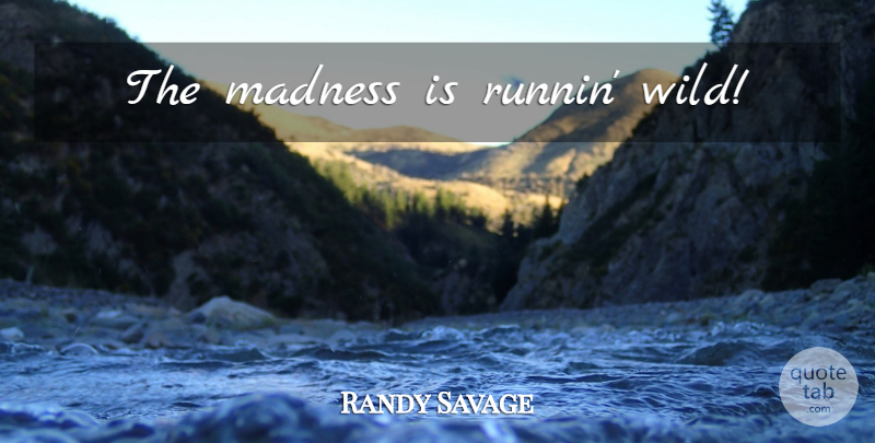 Randy Savage Quote About Madness: The Madness Is Runnin Wild...