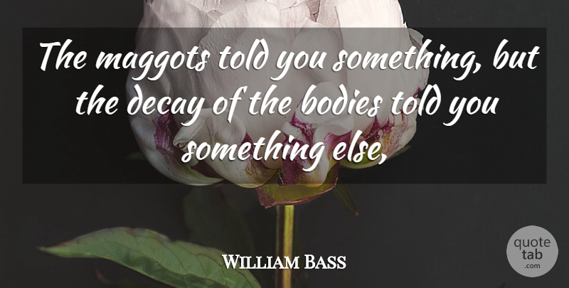 William Bass Quote About Bodies, Decay: The Maggots Told You Something...