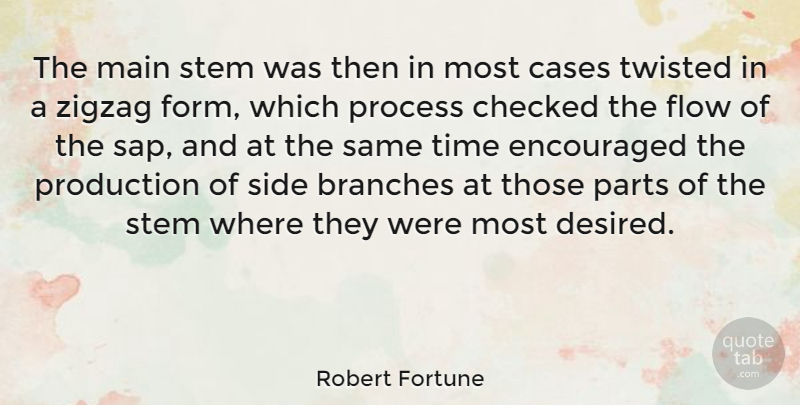 Robert Fortune Quote About Branches, Flow, Sides: The Main Stem Was Then...