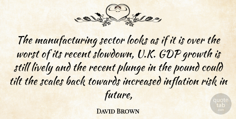 David Brown Quote About Growth, Increased, Inflation, Lively, Looks: The Manufacturing Sector Looks As...