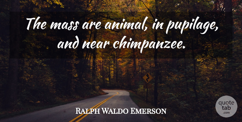 Ralph Waldo Emerson Quote About Animal, Chimpanzees, Mass: The Mass Are Animal In...
