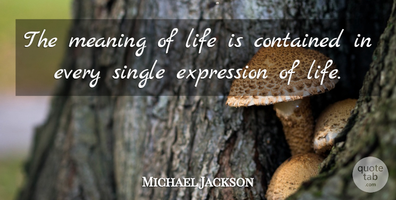 Michael Jackson Quote About Expression, Meaning Of Life, Life Is: The Meaning Of Life Is...