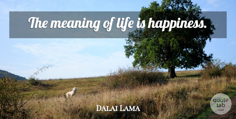 Dalai Lama Quote About Meaning Of Life, Life Is: The Meaning Of Life Is...