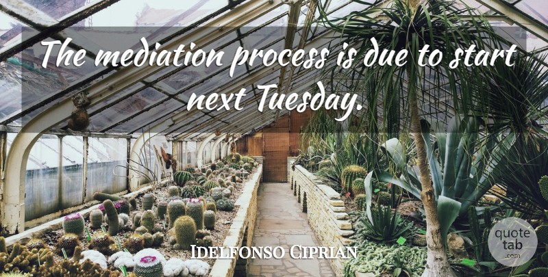 Idelfonso Ciprian Quote About Due, Mediation, Next, Process, Start: The Mediation Process Is Due...
