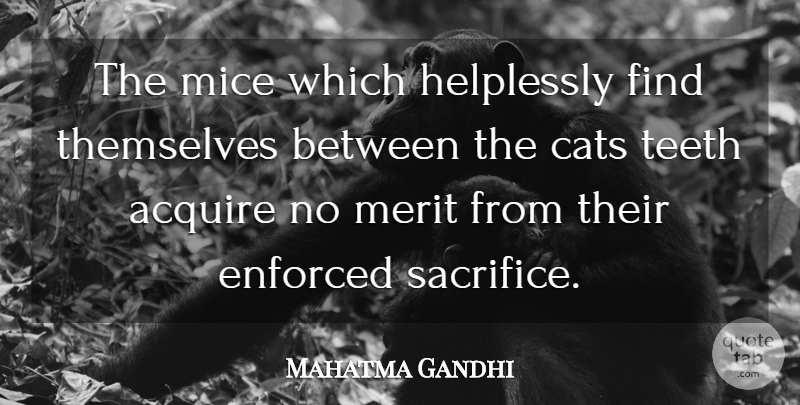 Mahatma Gandhi Quote About Cat, Sacrifice, Merit: The Mice Which Helplessly Find...