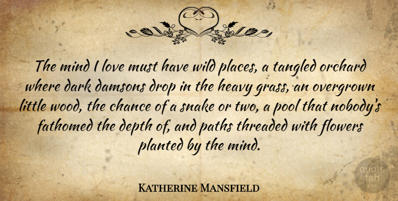 Katherine Mansfield Quote About Love, Dream, Flower: The Mind I Love Must...