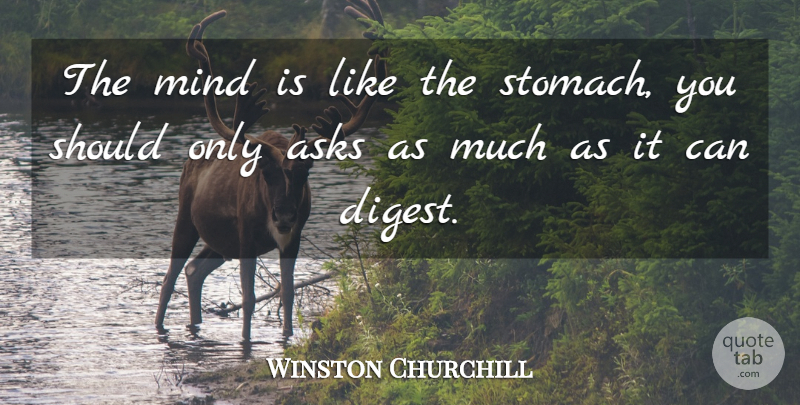 Winston Churchill Quote About Asks, Mind: The Mind Is Like The...