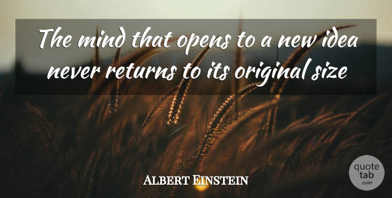 Albert Einstein Quote About Ideas, Mind, Return: The Mind That Opens To...