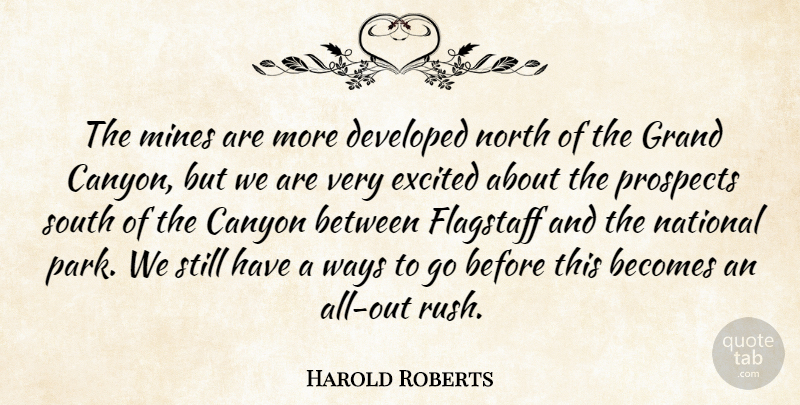 Harold Roberts Quote About Becomes, Canyon, Developed, Excited, Grand: The Mines Are More Developed...