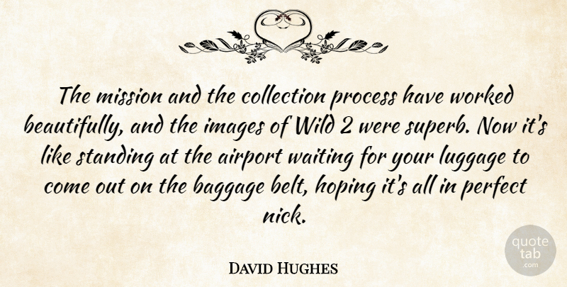 David Hughes Quote About Airport, Baggage, Collection, Hoping, Images: The Mission And The Collection...