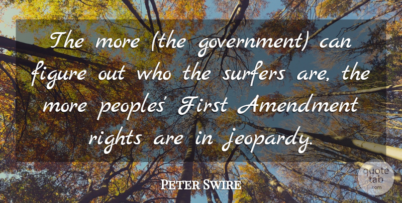 Peter Swire Quote About Amendment, Figure, Rights: The More The Government Can...
