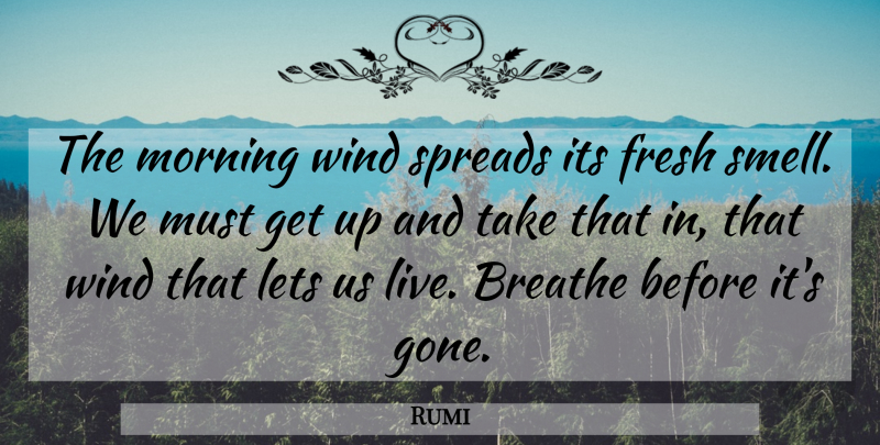 Rumi Quote About Spiritual, Wisdom, Morning: The Morning Wind Spreads Its...