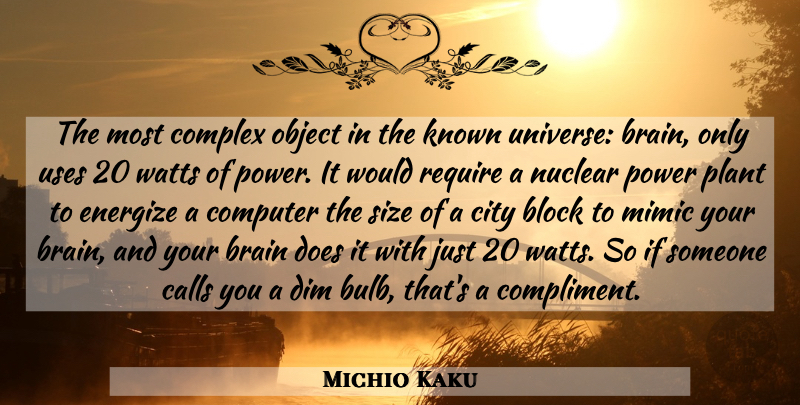 Michio Kaku Quote About Block, Cities, Brain: The Most Complex Object In...