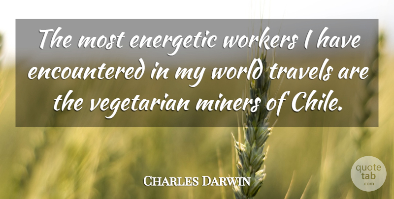 Charles Darwin Quote About World, Vegetarian, Vegan: The Most Energetic Workers I...