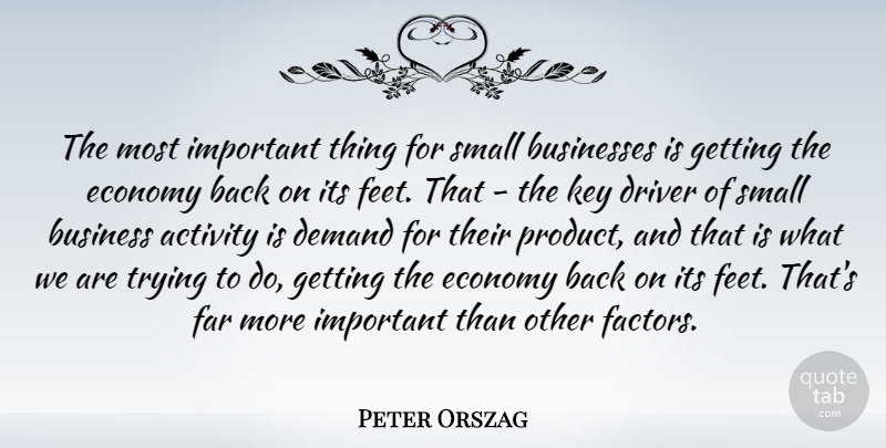 Peter Orszag Quote About Activity, Business, Businesses, Demand, Driver: The Most Important Thing For...