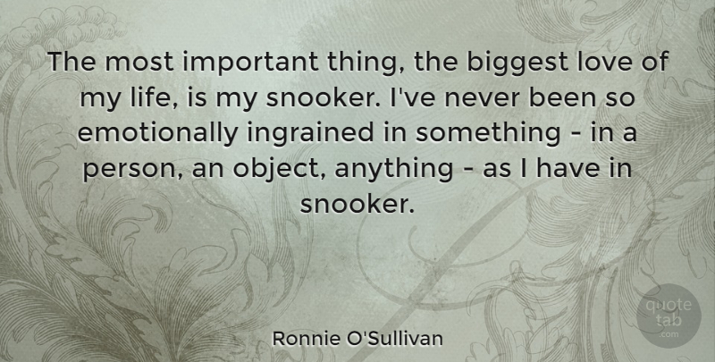 Ronnie O'Sullivan Quote About Ingrained, Life, Love: The Most Important Thing The...