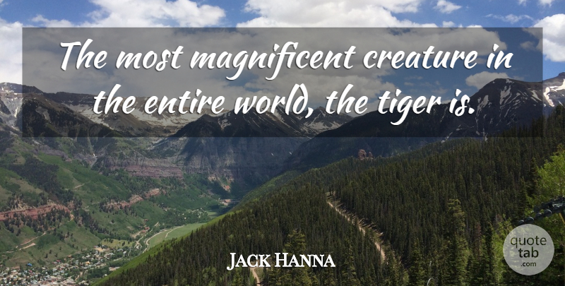 Jack Hanna Quote About World, Magnificent, Creatures: The Most Magnificent Creature In...