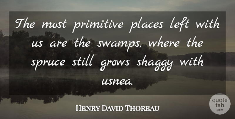 Henry David Thoreau Quote About Swamps, Wilderness, Primitive: The Most Primitive Places Left...