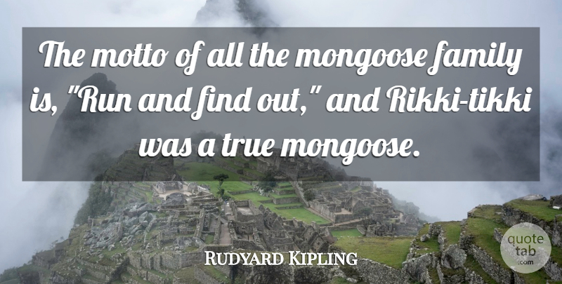 Rudyard Kipling Quote About Running, Motto, Mongoose: The Motto Of All The...