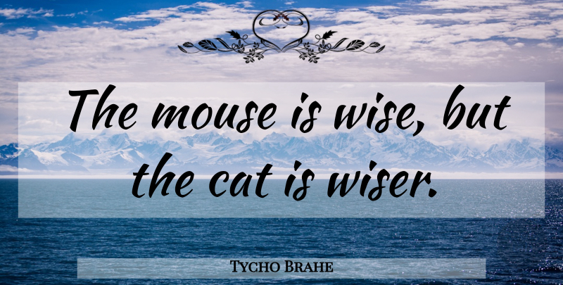 Tycho Brahe Quote About Wise, Wisdom, Cat: The Mouse Is Wise But...