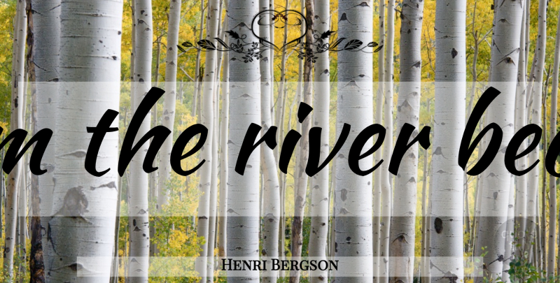 Henri Bergson Quote About Rivers, Movement, Bed: The Movement Of The Stream...